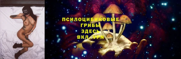 2c-b Балахна