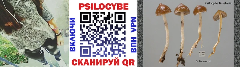 ссылка на мегу зеркало Нея Псилоцибиновые грибы GOLDEN TEACHER