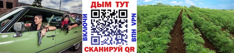 Канабис Ganja  наркошоп  Нея 